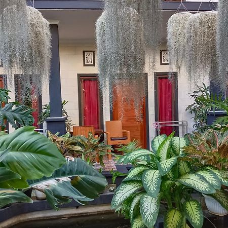Double N Guesthouse Sanur  Luaran gambar