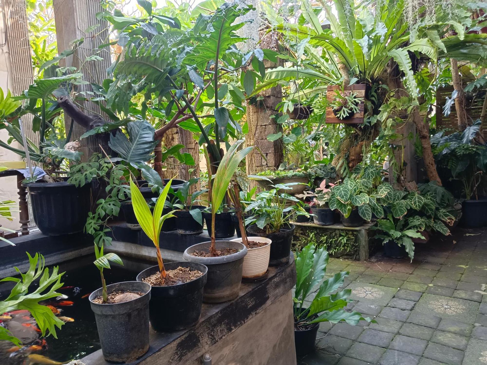 Double N Guesthouse Sanur  Luaran gambar