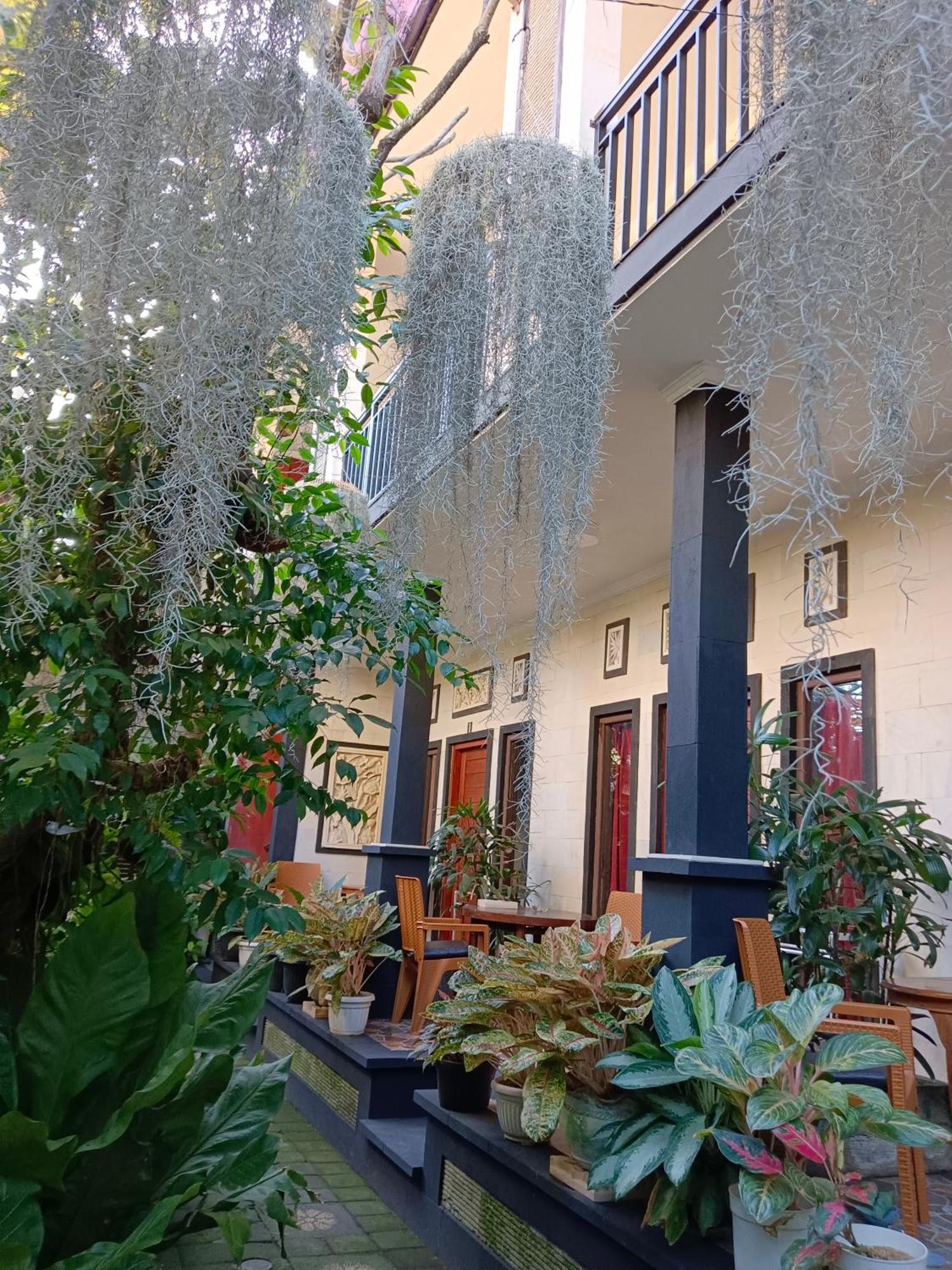 Double N Guesthouse Sanur  Luaran gambar