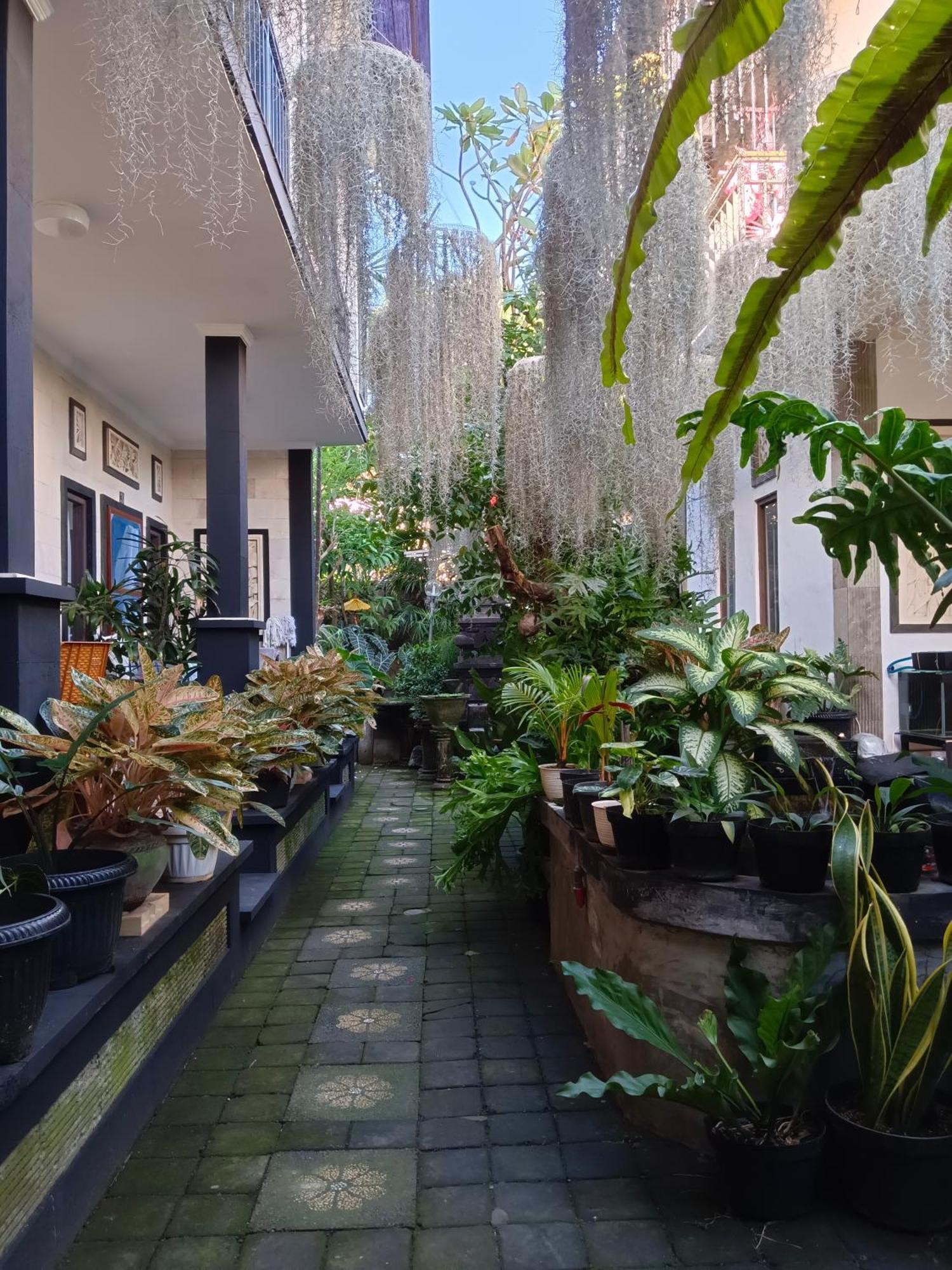 Double N Guesthouse Sanur  Luaran gambar