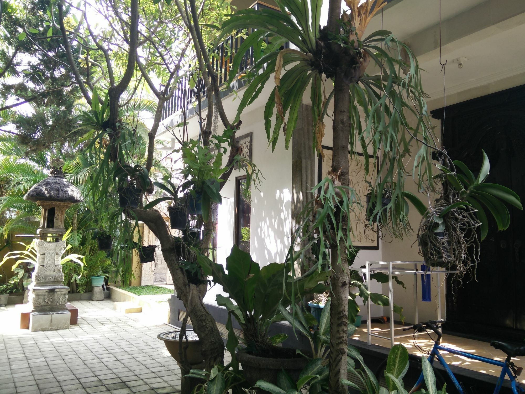 Double N Guesthouse Sanur  Luaran gambar
